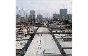 PP强塑单圆孔中空塑料模板的产品特性