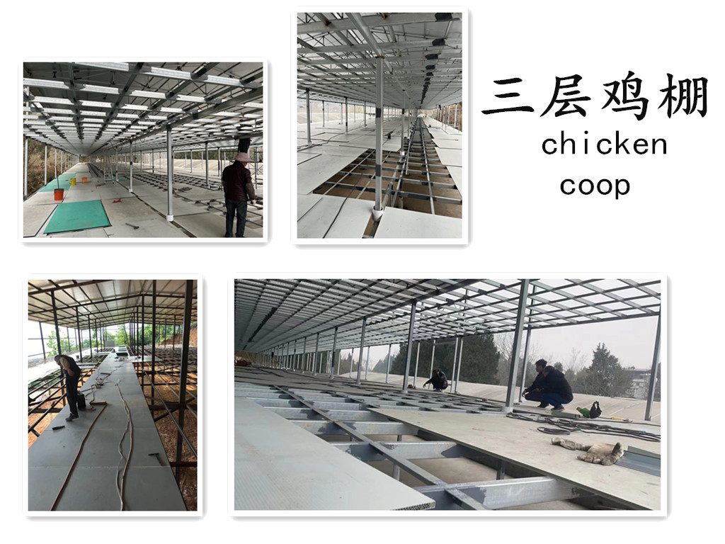 Panel installation in three-level poultry housing
