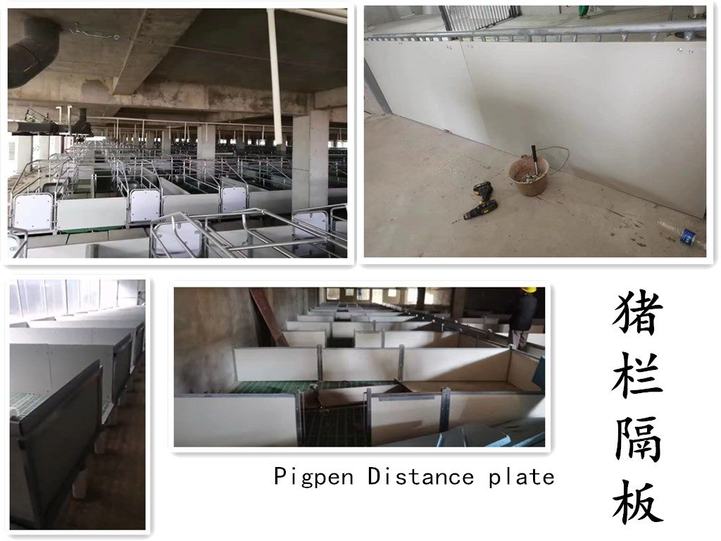 Pig-pen partitions in a large-scale farm